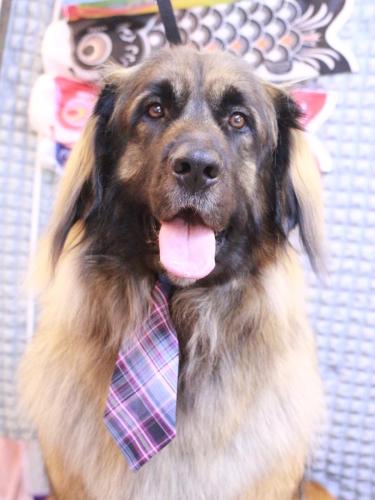 20230510シェリーちゃん